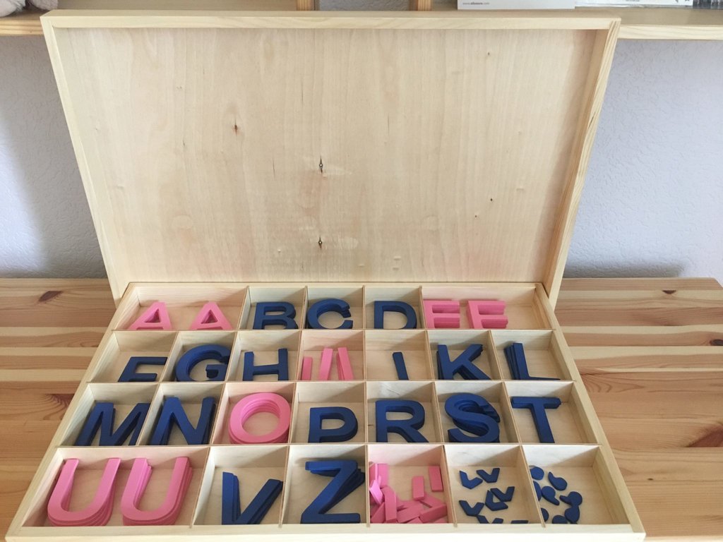Koka alfabēts latviešu valodā - drukātie burti (kaste + burti)